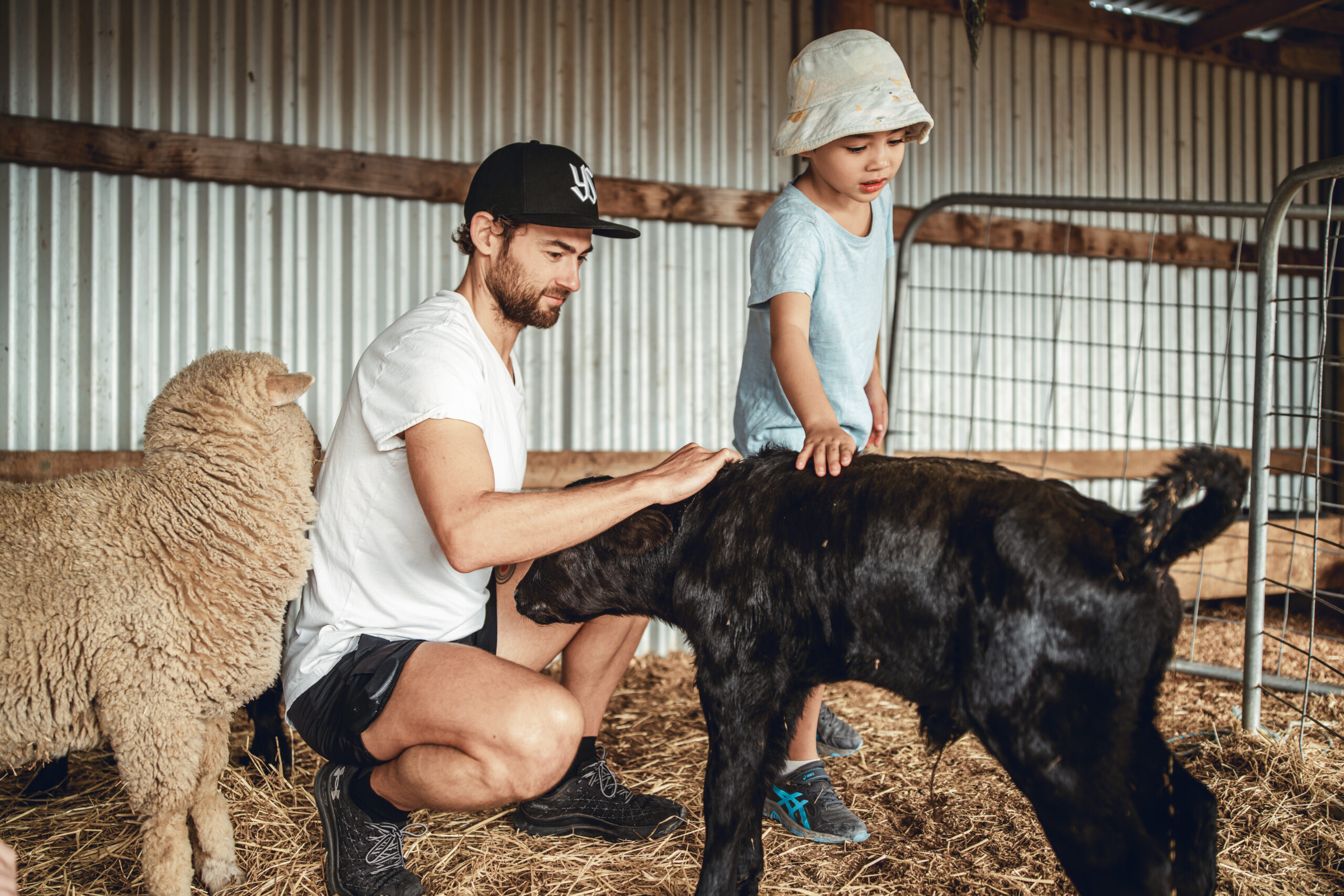 PEARSON FARM-01347
