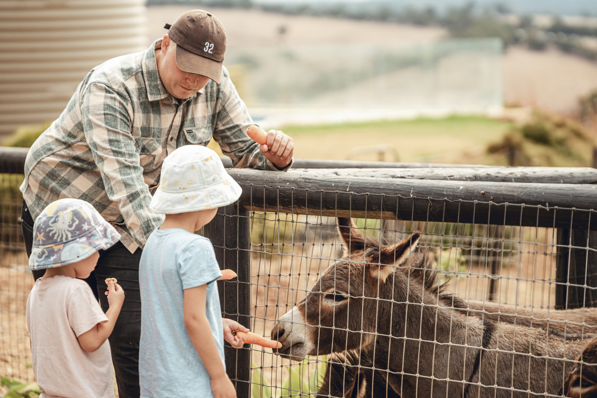 PEARSON FARM-01464